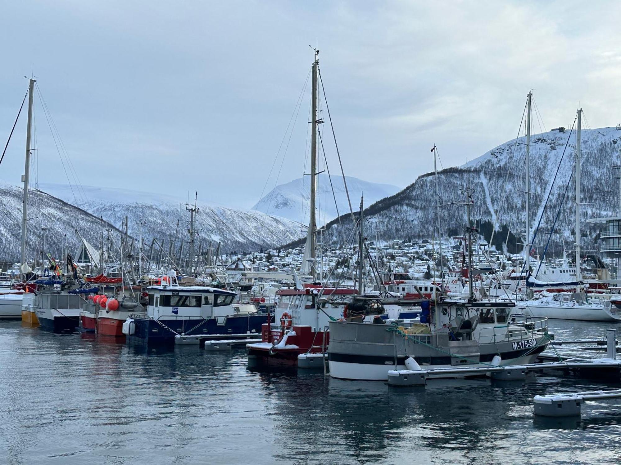 Thenorthernexplorer Penthouse Tromso Luaran gambar